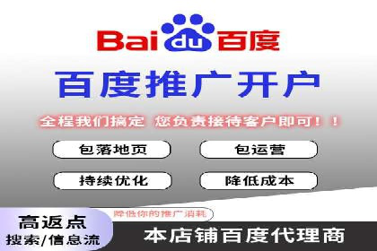 百度竞价排名实战：某电商平台的成功之路